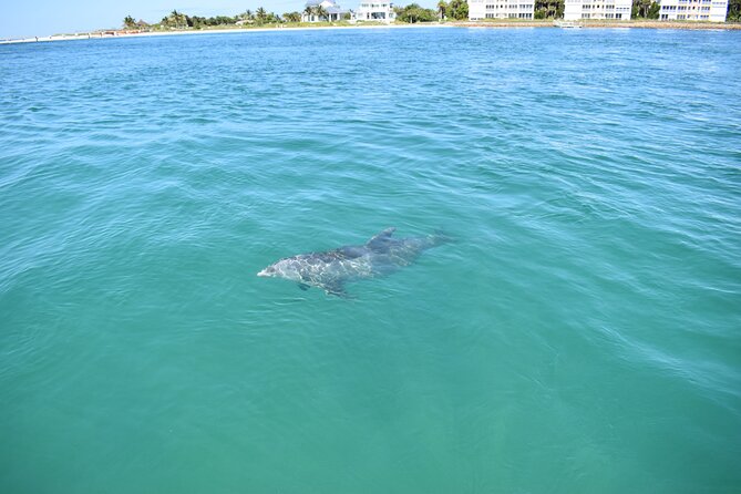 Dolphin Tiki Cruise Around Fort Myers Beach - Booking and Cancellation Policy