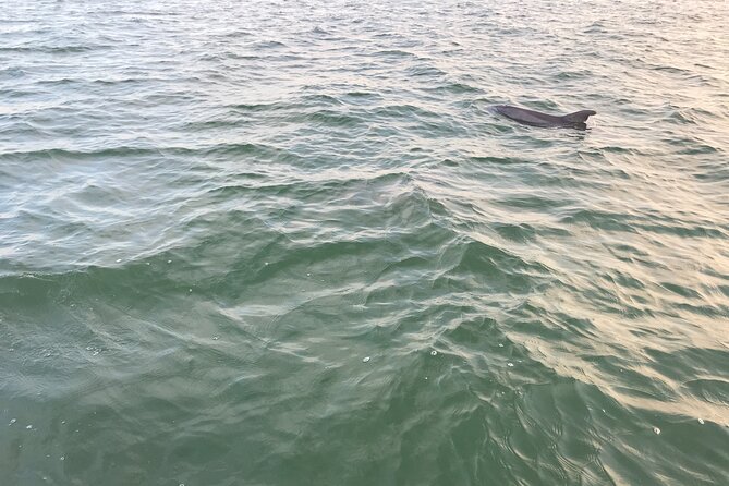 Dolphin Tiki Cruise Around Fort Myers Beach - Accessibility and Participant Information
