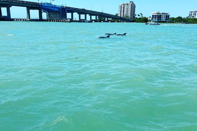 Dolphin Tiki Cruise Around Fort Myers Beach - About Tiny Tiki Tours