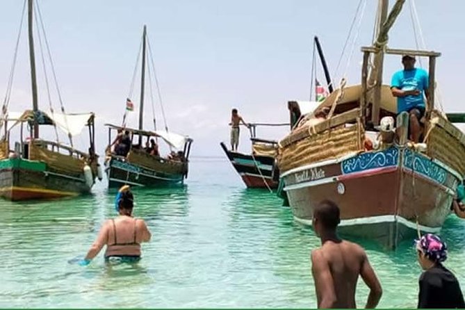 Dolphin Tour and Snorkeling in Kisite Marine Park / Wasini Island - Key Points