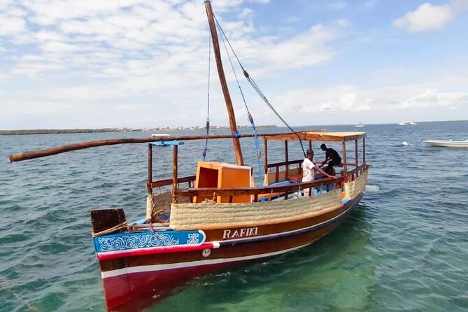 Dolphin Tour and Snorkeling in Kisite Marine Park / Wasini Island - Activity Details