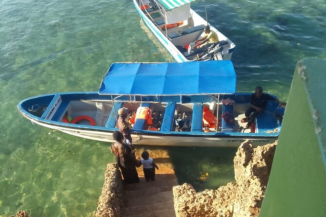 Dolphin Tour and Snorkeling in Kisite Marine Park / Wasini Island - Additional Information
