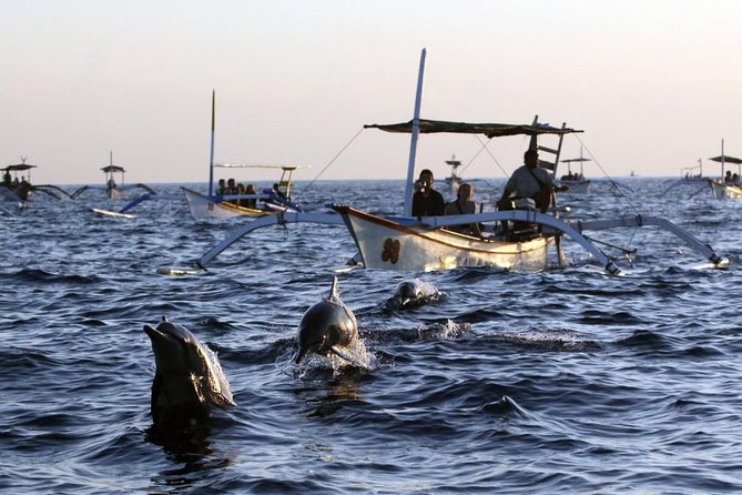 Dolphin Tour and Sunrise Watching in Lovina Beach - All Inclusive - Dolphin Watching Experience