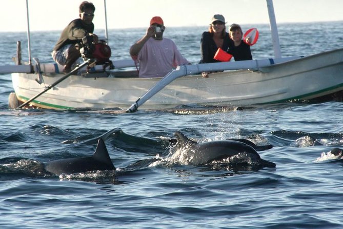 Dolphin Tour and Sunrise Watching in Lovina Beach - All Inclusive - Important Considerations