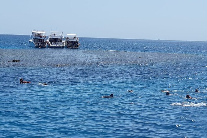 Dolphin Tour Banana Boat From Soma /Sahl Hasheesh/Makadi/Safaga - Nature Reserve Exploration