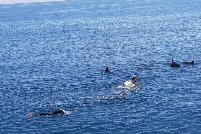 Dolphin Tour & Banana Boat Fun With Snorkeling From Hurghada - Minimum Travelers Requirement