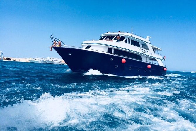 Dolphin Tour in Hurghada - Whats Included in the Tour
