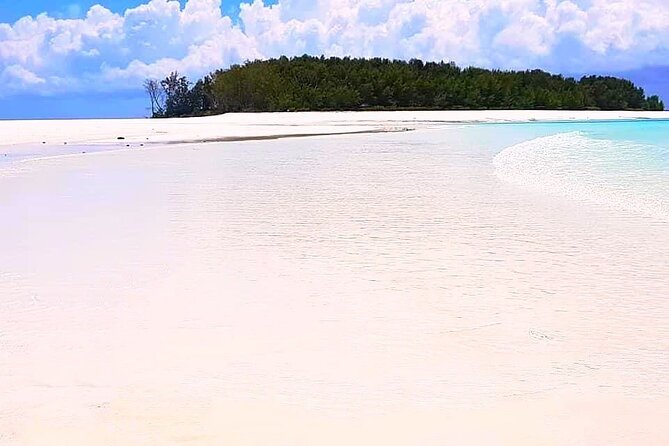Dolphin Tour, Jozani Forest Tour, Kuza Cave Tour, Paje Beach,The Rock Restaurant - Tour Duration