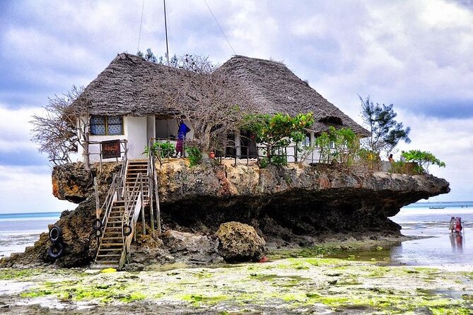 Dolphin Tour; Kuza Cave Tour; Paje Beach; The Rock Restaurant; Jozani Forest - Activity Highlights