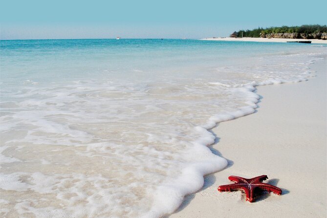 Dolphin Tour; Kuza Cave Tour; Paje Beach; The Rock Restaurant; Jozani Forest - Jozani Forest and Kuza Cave