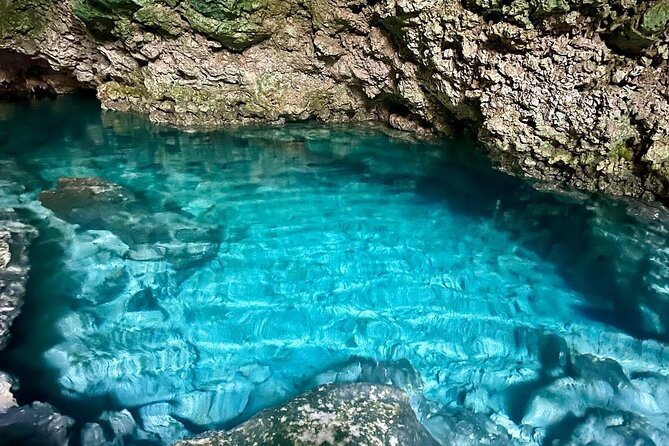 Dolphin Tour; Kuza Cave Tour; Paje Beach; The Rock Restaurant; Jozani Forest - Transportation and Accessibility