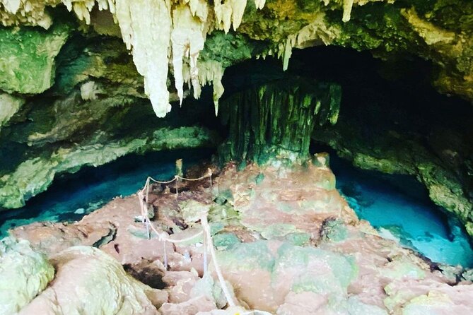 Dolphin Tour; Kuza Cave Tour; Paje Beach; The Rock Restaurant; Jozani Forest - Guest Reviews and Feedback