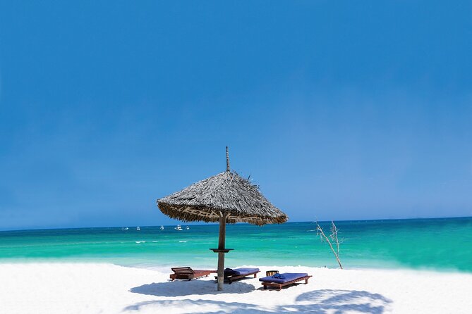 Dolphin Tour; Kuza Cave Tour; Paje Beach; The Rock Restaurant; Jozani Forest - Booking Information