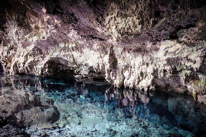 Dolphin Tour; Kuza Cave Tour; Paje Beach; The Rock Restaurant; Jozani Forest - Tour Itinerary and Inclusions