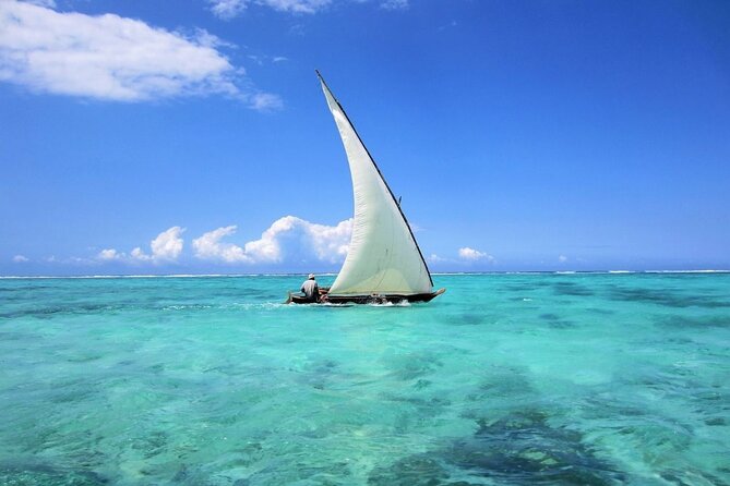 Dolphin Tour & Snorkeling at Mnemba Island - Highlights of the Experience