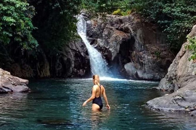 Dolphin Tour - Waterfall - Wanagiri Hill - Temple on the Lake - Free WiFi - Getting There