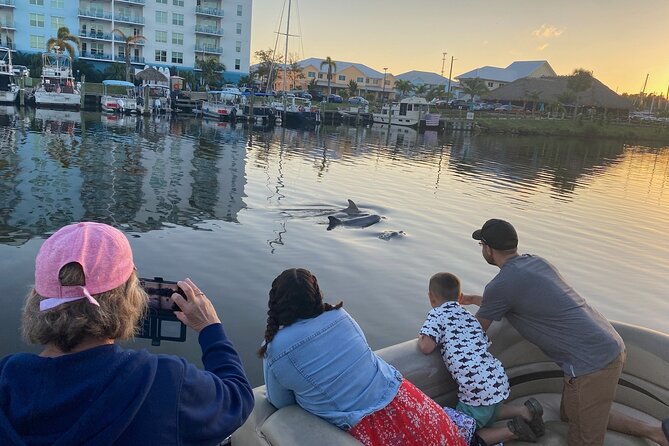 Dolphin Tour With Local Expert - Key Points