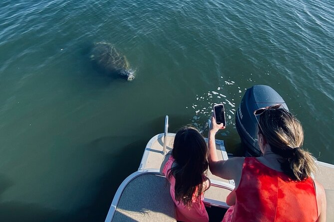 Dolphin Tour With Local Expert - Meeting Point