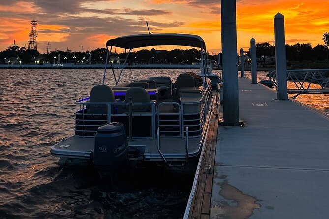 Dolphin Tour With Local Expert - Maximum Travelers
