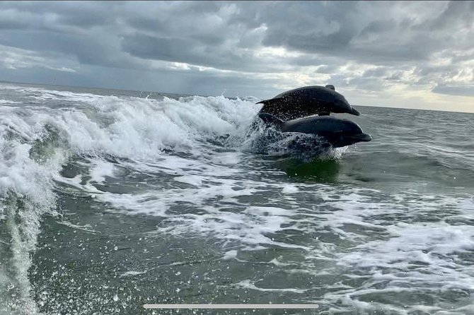 Dolphin Tours - Fort Myers Beach / Naples - Itinerary and Duration
