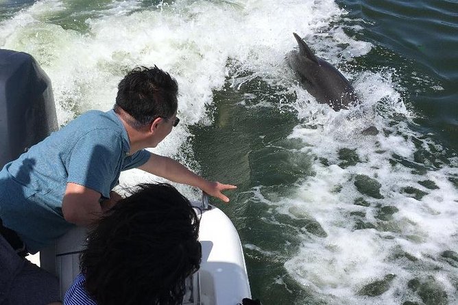 Dolphin Tours - Fort Myers Beach / Naples - Frequently Asked Questions