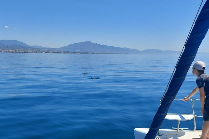 Dolphin Trips on a Catamaran - Dolphin Sighting Opportunities