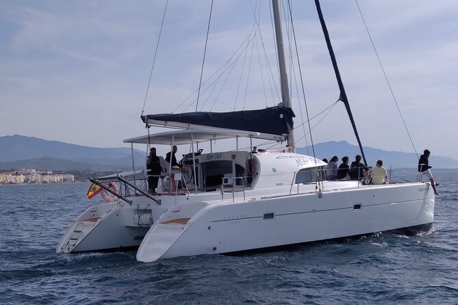 Dolphin Trips on a Catamaran - Accessibility and Inclusiveness