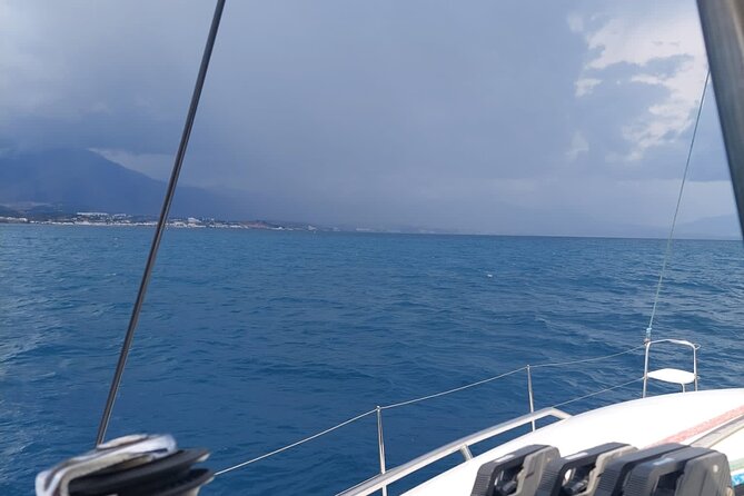 Dolphin Trips on a Catamaran - Traveler Experiences and Recommendations