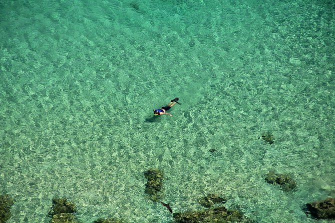 Dolphin Viewpoint Trail - Key Points
