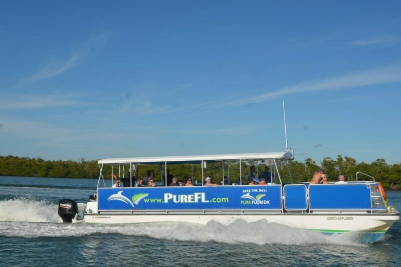 Dolphin Watch/Eco Cruise - What You Can Expect on This 3-Hour Eco Cruise