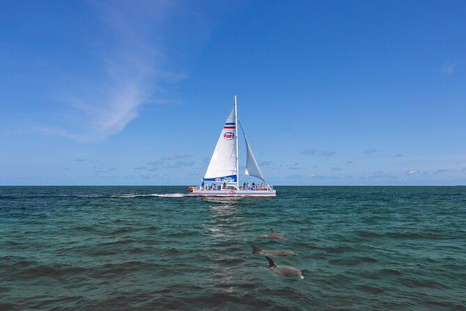 Dolphin Watch & Historical Harbor Tour in St. Augustine - Alcoholic Beverages and Refreshments