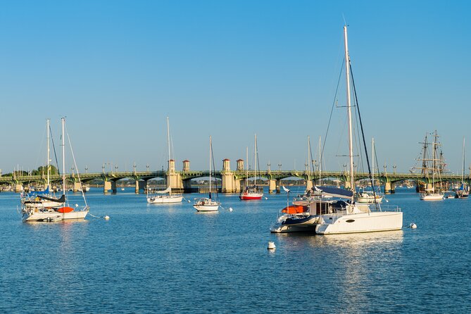 Dolphin Watch & Historical Harbor Tour in St. Augustine - Highlights of the Tour