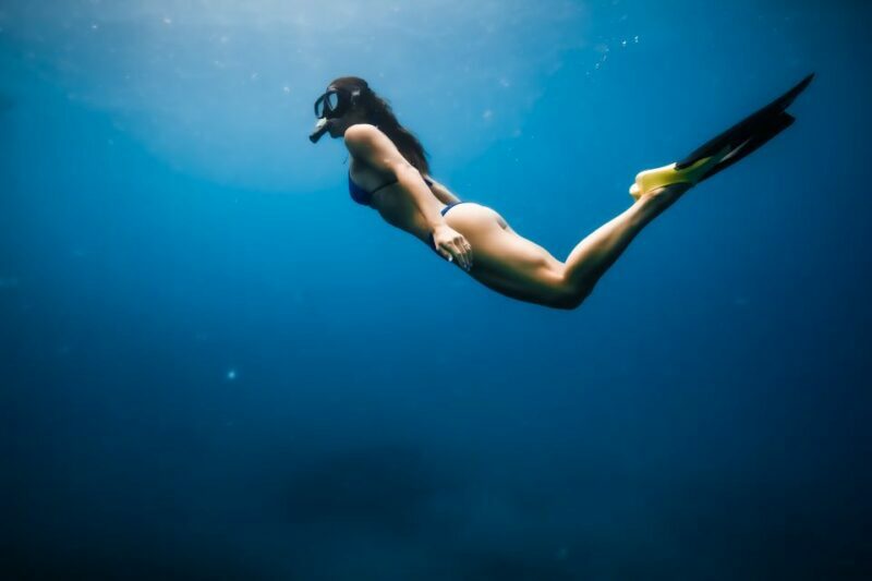 Dolphin Watch Snorkel and BBQ in Kona, Big Island - Itinerary Breakdown: What You Can Expect