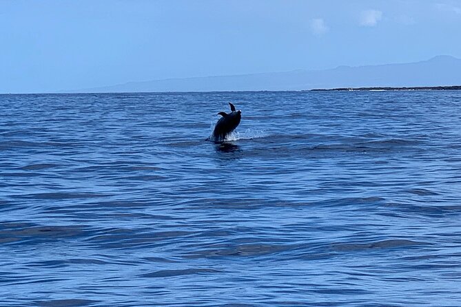 Dolphin Watch & Snorkel Captain Cook Monument Big Island Kailua-Kona Hawaii - Eco-Friendly Practices
