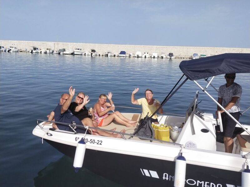 Dolphin Watching: 2-Hour All-Inclusive Experience - Key Points