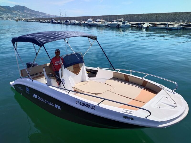 Dolphin Watching: 2-Hour All-Inclusive Experience - Pricing and Booking