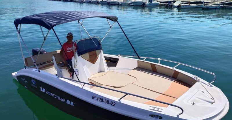 Dolphin Watching: 2-Hour All-Inclusive Experience - Key Activities