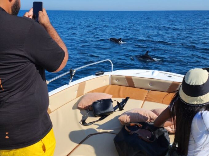 Dolphin Watching: 2-Hour All-Inclusive Experience - Customer Feedback