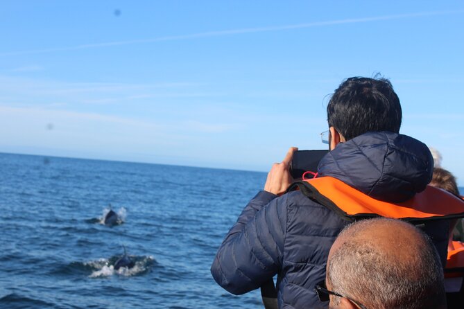 Dolphin Watching + 2 Islands Tour - From Faro - Scheduling and Duration