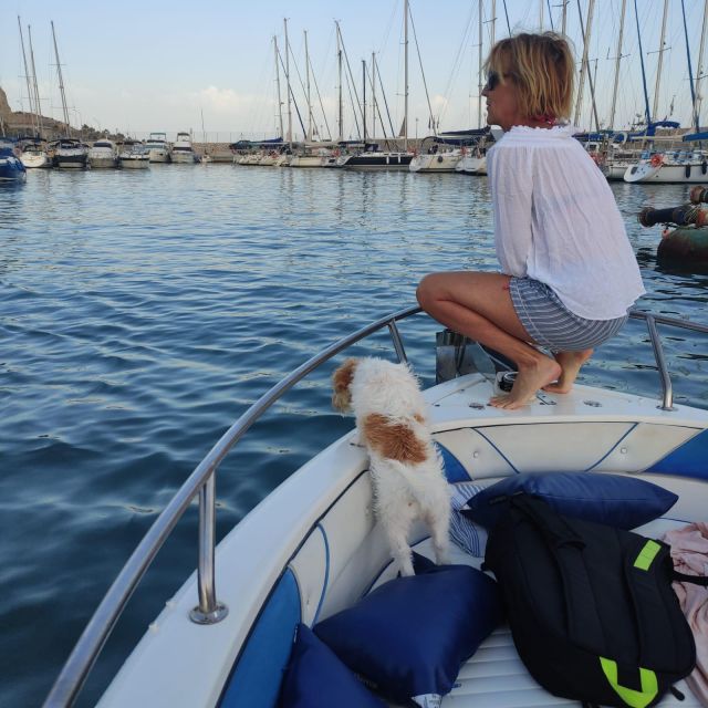 DOLPHIN WATCHING - Key Points