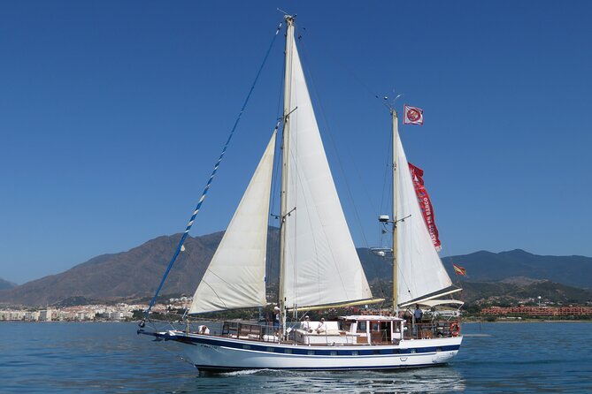 Dolphin Watching Adventure in Estepona Bay - Meeting Point and Pickup