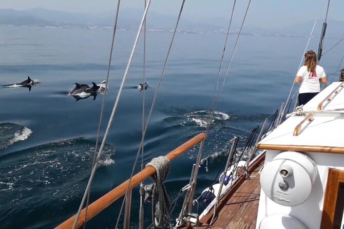 Dolphin Watching Adventure in Estepona Bay - Group Size and Capacity