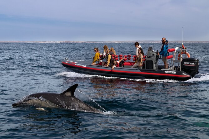 Dolphin Watching Along the Algarve Coast - Inclusions and Equipment