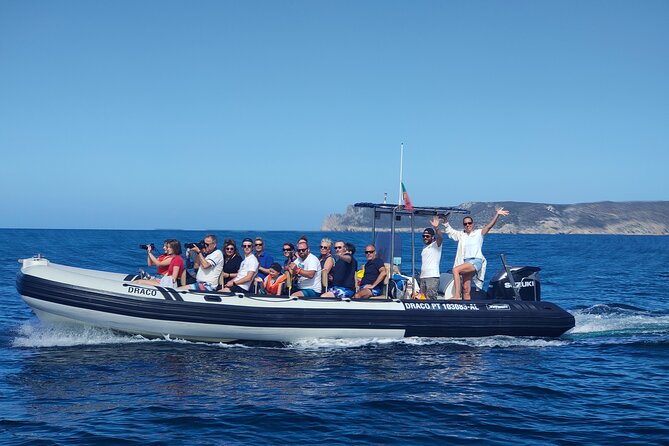 Dolphin Watching and Boat Tour in Sesimbra - Dolphin Watching Experiences