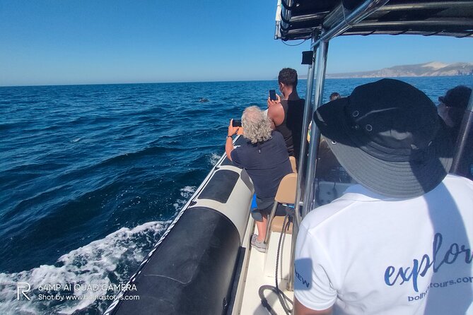 Dolphin Watching and Boat Tour in Sesimbra - Tour Duration and Inclusions