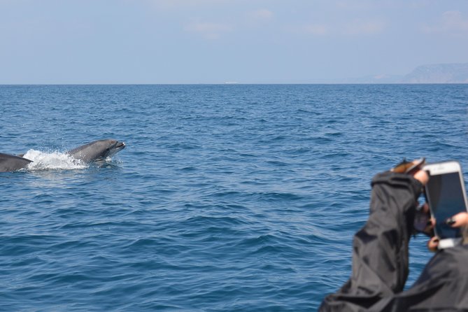 Dolphin Watching and Boat Tour in Sesimbra - Tour Logistics and Accessibility