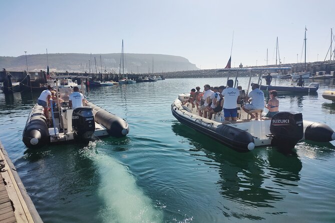 Dolphin Watching and Boat Tour in Sesimbra - Cancellation and Refund Policy