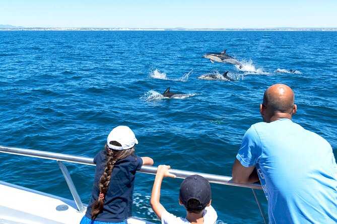 Dolphin Watching and Cave Boat Cruise From Albufeira - Highlights of the Dolphin Watching