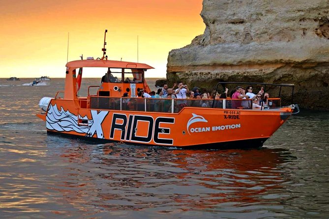 Dolphin Watching and Caves Cruise - Highlights and Activities