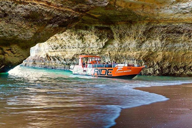 Dolphin Watching and Caves Cruise - Meeting Point and End Location